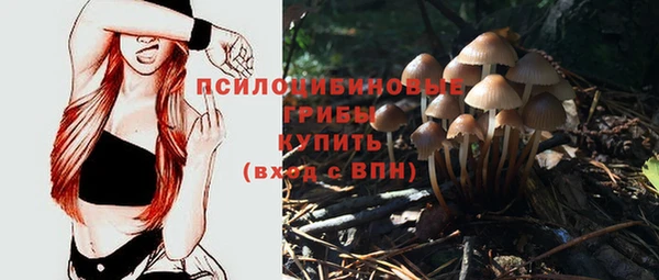 каннабис Инта